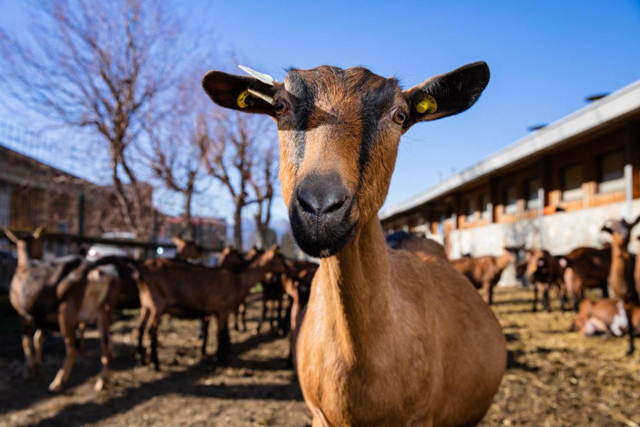 Agriturismo La Fiorida 만텔로 외부 사진